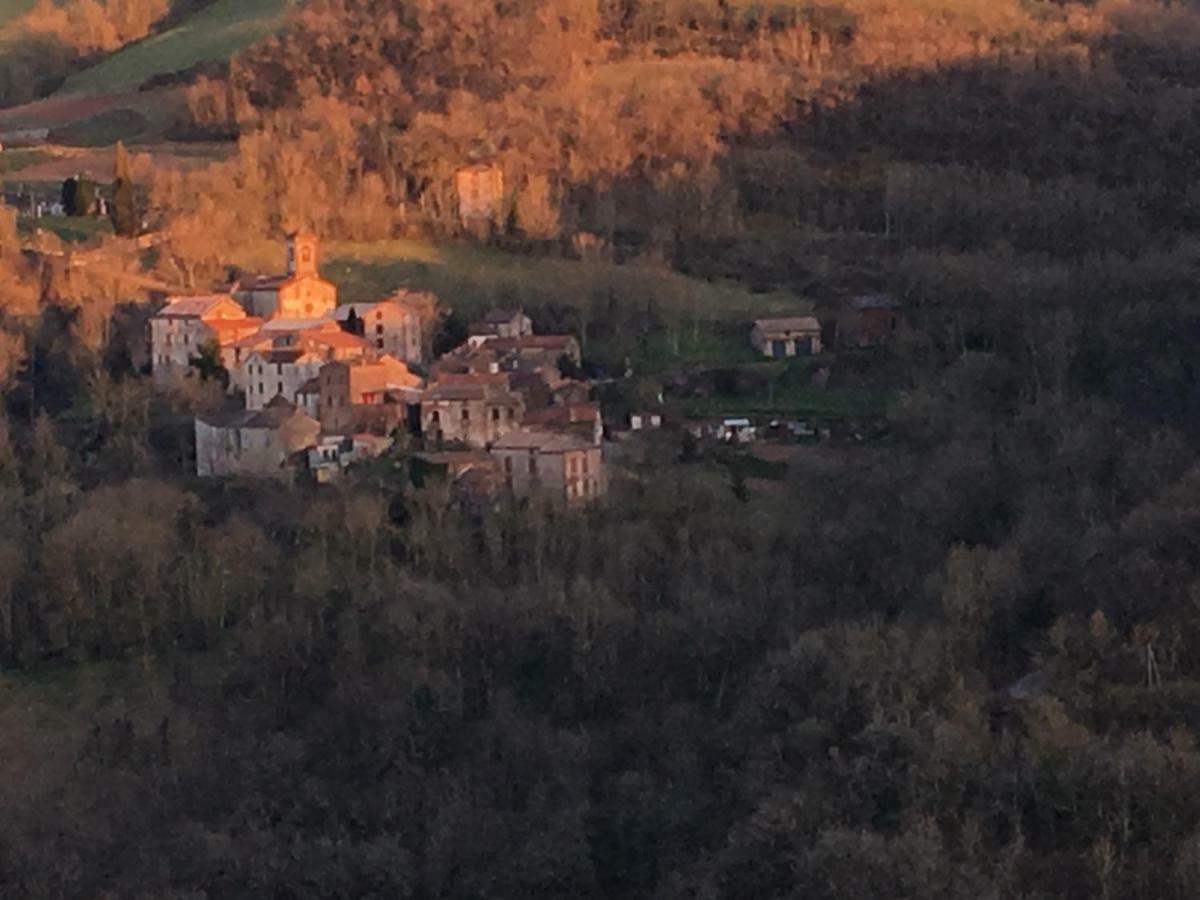 Roque Rouge grand gite de La Cazotte Broquies Extérieur photo